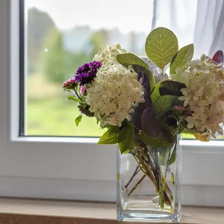 Holiday home Snug In Altenfeld With Private Terrace Altenfeld (Thuringia)
